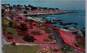 Lover's Point Pacific Grove CA Postcard Used (35926) - Picture 1 of 2