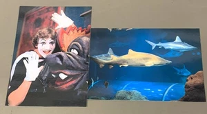 # T5917 SEA WORLD, OLANDO, FL.   POSTKARTEN LOT, 2 DIF. KARTEN - Bild 1 von 2