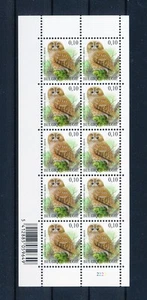 LS26979 Belgium owls animals birds good sheet MNH - Picture 1 of 1