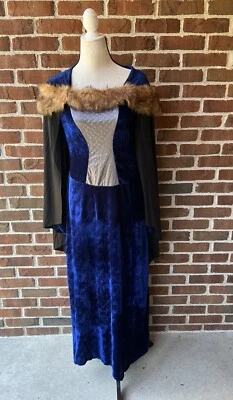 Rubie's Adult Medieval Maiden Costume, Size Small Dress Halloween Dark Lady’s - Image 1 of 4