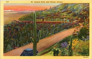 Tucson, AZ Arizona Postcard Mt. Lemmon Road Cactus, Desert Flowers, Vintage Car - Picture 1 of 4