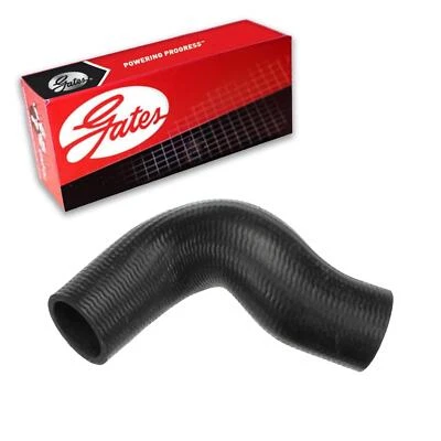 Manguera de refrigerante de radiador Gates inferior para Lincoln Continental 1988-1994 3,8 L V6 GAS Foto 1 de 3