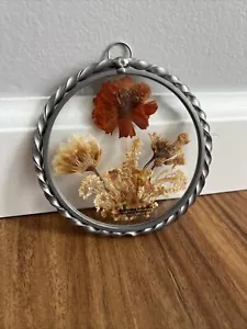 Antique Vintage Suncatcher Real Flowers 1940s Lasting Impressions - Picture 1 of 7