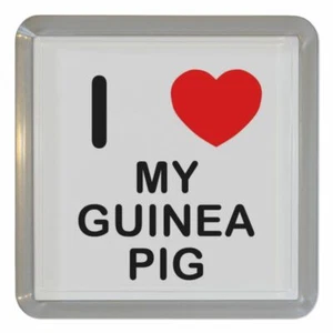 Posavasos de té de plástico My Guinea Pig I Love alfombrilla de cerveza de plástico (95 mm x 95 mm) - Imagen 1 de 2