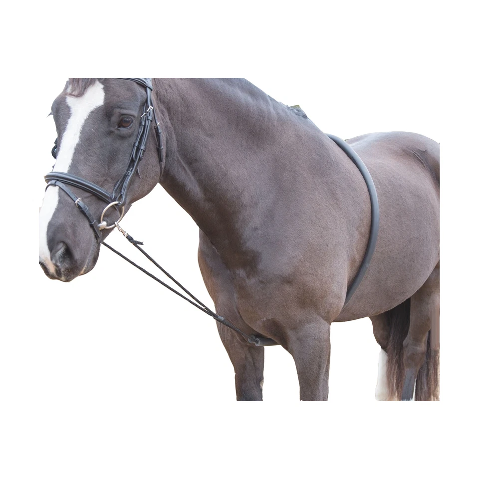 Shires Soft Lunging Aid - 470 Foto 1 de 1