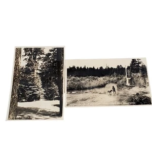Junk Drawer Lot of 2 Vtg Mississippi Itasca State Park Minn RPPC 5.25 x 3.5" - Picture 1 of 6