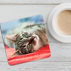 Personalised Dog Cat Pet Animal Coasters Your Image, Photo, Drinks Mat