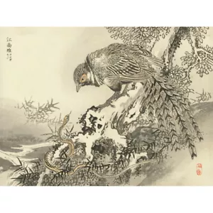 Bairei Pheasant Snake Japanese Painting Canvas Wall Art Print Poster - Picture 1 of 6