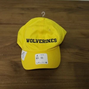 Nike Air Jordan Michigan Wolverines Football Team Issued On Field Authentic Hat - Picture 1 of 8