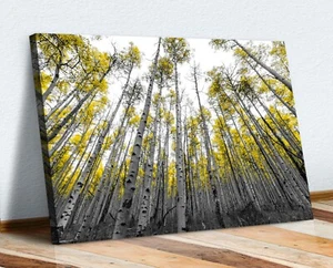 Schwarz Weiß Gelb Blätter Espen Bäume Leinwand Wandbild Bild Druck 30mm Tief - Bild 1 von 9