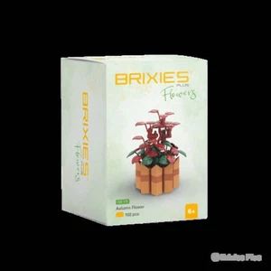 222.175 Brixies Plus Mini Blume Autumn Flower - Foto 1 di 1