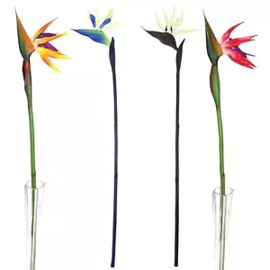 Large Bird of Paradise Tropical Flower - Artificial Silk Latex Flowers Long Stem - Picture 1 of 5