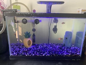 10 gallon fish tank - Picture 1 of 2