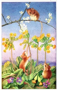 Medici Society #247 KING OF THE CASTLE~HEDA ARMOUR Mice & Flower Garden Postcard - Picture 1 of 2