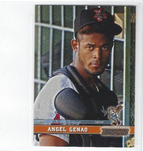 2017 Inland Empire 66ers (Class A-Los Angeles Angels) Angel Genao