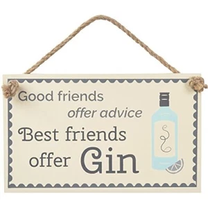 Transomnia Gin Plaque - Good Friends Offer Advice, Best Friends Offer Gin Decor - Picture 1 of 12