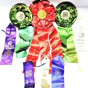 9 1950s New Mexico Championship Sheep & 4-H Best Teen Living Show Ribbons Awards - Picture 1 of 12