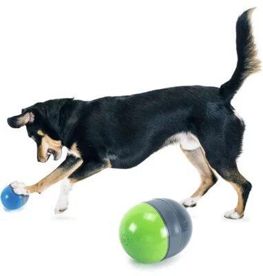 PetSafe Ricochet - 电子吱吱声狗玩具 - 2 对玩具吱吱声到基... — 第 1/4 张图片