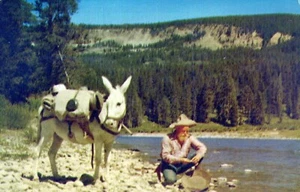 Desert Wanderer Prospector Badwater Bill Panning postal dorada sin publicar - Imagen 1 de 2