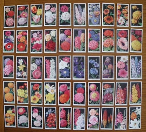 Full Set CARRERAS FLOWERS 1936 cigarette cards VG condition - Picture 1 of 1