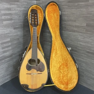 SUZUKI M-30 mandolin body with case - Picture 1 of 3