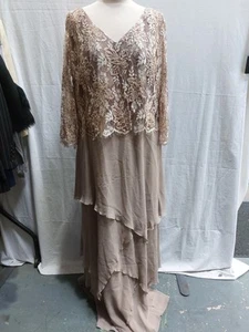 BNWT Image Formal Lacey Sequinned Beige Floral Dress- Size 18 - Picture 1 of 9