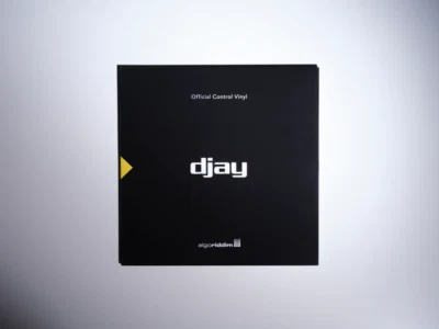 djay Pro 12" Control Vinyl (Black Single) - Image 1 of 4