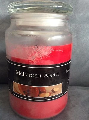 SOY BASICS BEANPOD CANDLES MCINTOSH APPLE 25 OZ SOY JAR CANDLE (USED) - Image 1 of 4