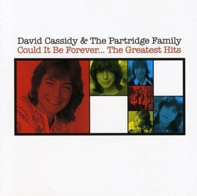 David Cassidy - Could It Be Forever - NEW CD  Greatest Hits / Very Best Of - Image 1 of 4