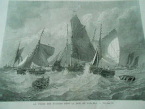 Gravure 1871 - La Pêche des huitres dans la baie de Cancale - Foto 1 di 1