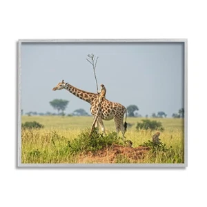 Monkey Riding Giraffe Framed Giclee Art by Dirk Jan Steehouwer - Picture 1 of 8