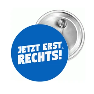 Jetzt erst Rechts Neuwahlen AfD Wende Anstecknadel Button Anstecker Pin Magnet - Picture 1 of 1