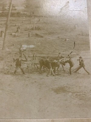 De Colección Divertida Molino de Leña Carro Bueyes Foto CDV Parece Interesante Tiroteo Foto 1 de 4