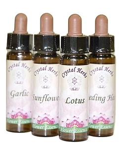 10 ml esencia floral individual - más de 200 esencias únicas para elegir - Imagen 1 de 1