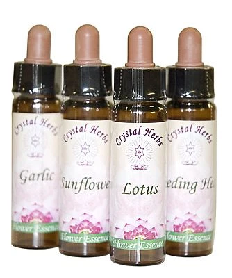 CRYSTAL HERBS 10ml einzelne Blumenessenz - Über 200 einzigartige Essenzen zur Auswahl