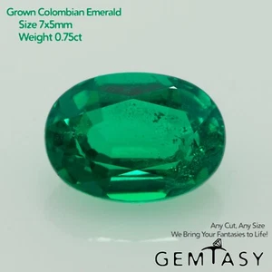 Cut stone - Emerald Colombian hydrothermal lab grown, 7x5mm 0.75-0.80ct - Picture 1 of 4