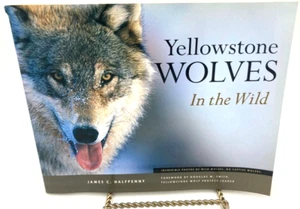 SIGNIERT! Yellowstone Wölfe in freier Wildbahn, James Halfpenny - Bild 1 von 6