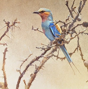 Robert Bateman MISSOURI BLUEBIRD Vintage Wildlife Book Plate Art Print 44 - Picture 1 of 4