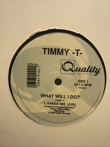 Timmy T - What Will I Do Original 12" Single good condition - Imagen 1 de 8
