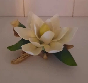White Magnolia Yellow Center By Andrea Sadek No Chips - Imagen 1 de 8