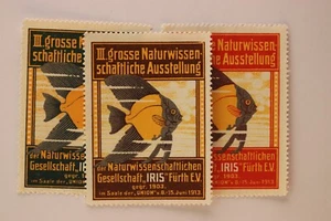 Scientific Society Expo 1913 illustriertes Fischposter Stempel Anzeigen - Bild 1 von 3