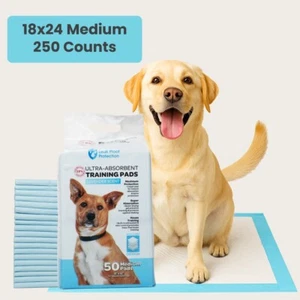 Pet Pads for Dog Scented 5-Layer Ultra-Absorbent Blue Underpads All Size & Packs - Picture 1 of 19
