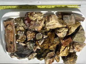 20 lb set:2 of petrified wood,some agate,some opal,super deal lapidary assorted - Picture 1 of 8