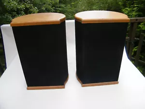 Altoparlanti misterici vintage possibilmente Spica SC-50, forse Bose/Advent/Cerwin Vega??? - Foto 1 di 14