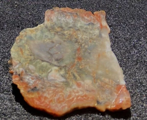 HENRY MOUNTAIN AGATIZED COPROLITE END CUT 38 GRAMS UTAH - Picture 1 of 5