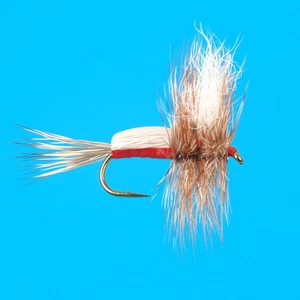 Royal Humpy, 6 pcs. size 12 - Picture 1 of 1