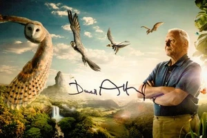 Sir David Attenborough Signed 6x4 Photo Blue Planet Signature Autograph + COA - Picture 1 of 3