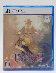 Record of Lodoss War: Deedlit in Wonder Labyrinth Playstation 5 (Japan Version) - Foto 1 di 4