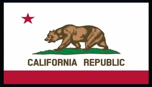 Patch bandiera California con gancio e anello morale tattico bordo nero III - Foto 1 di 1