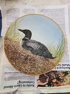 Great Northern Diver The 12 Waterbird Plates Danbury Mint, Limited Edition - Picture 1 of 2